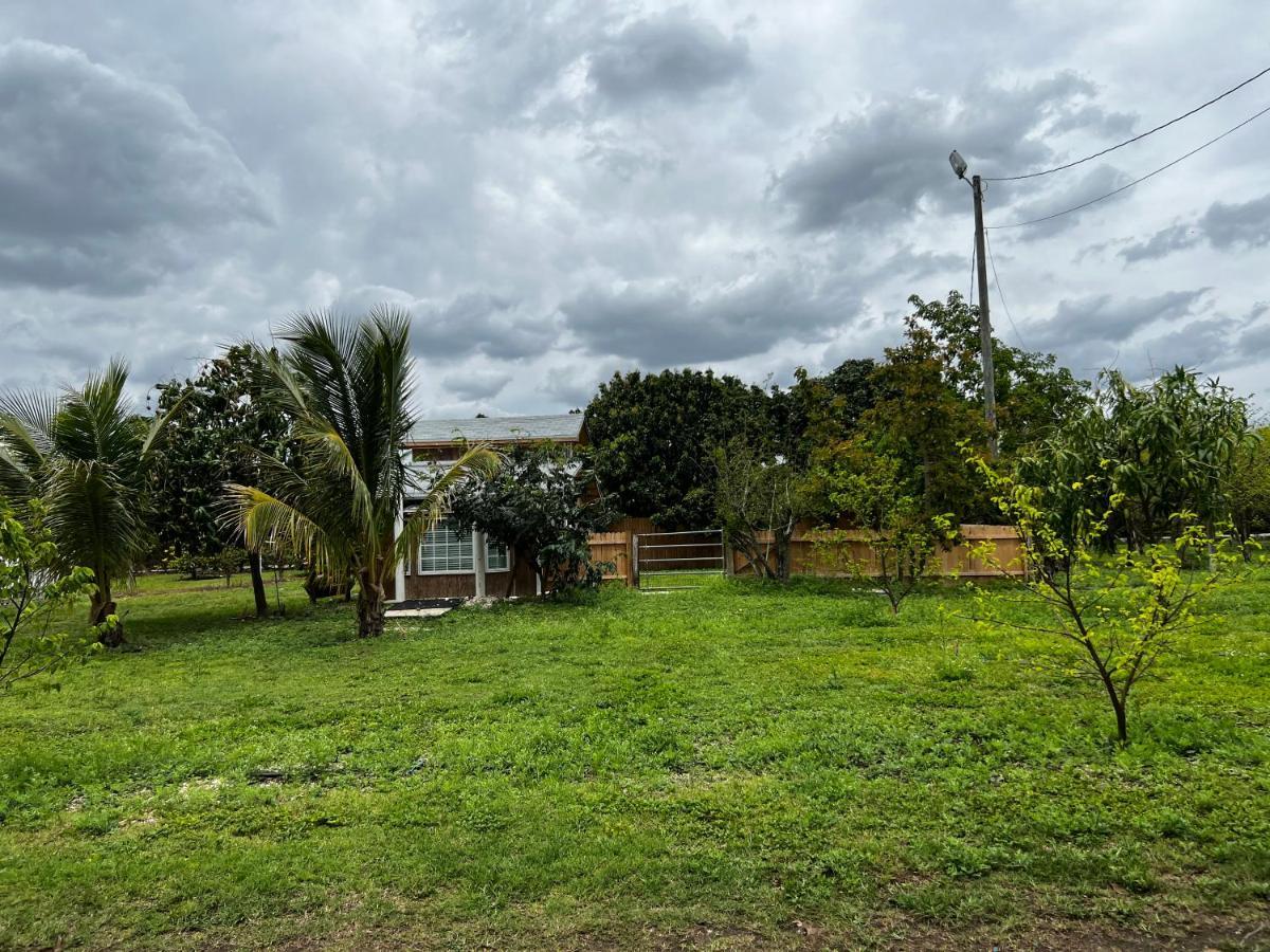 Maria'S Tiny Barn Guest House Homestead Ngoại thất bức ảnh